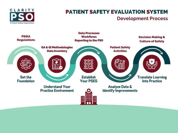 PSO Process Diagrams
