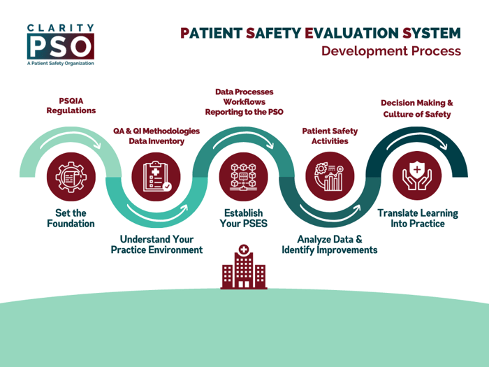 Clarity PSO Process Diagram